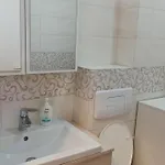 Cozy Bujorilor דירה טימישוארה