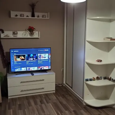 Apartmán Cozy Bujorilor Temešvár