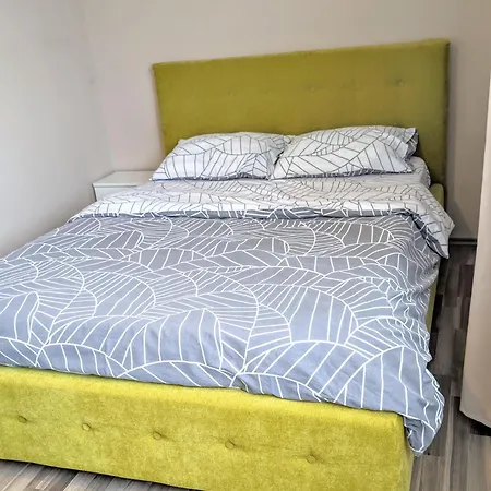 Cozy Bujorilor Apartmán