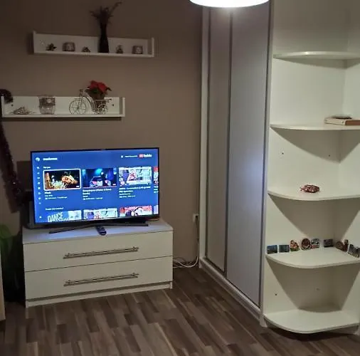 Apartmán Cozy Bujorilor Temešvár