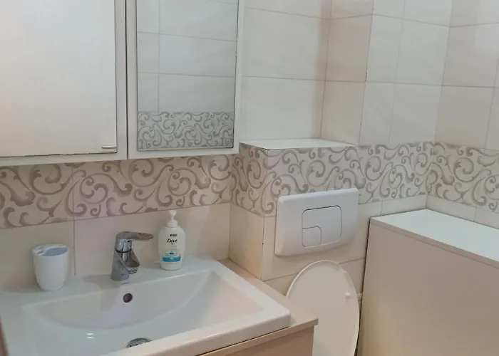 Cozy Bujorilor Apartmán Temešvár