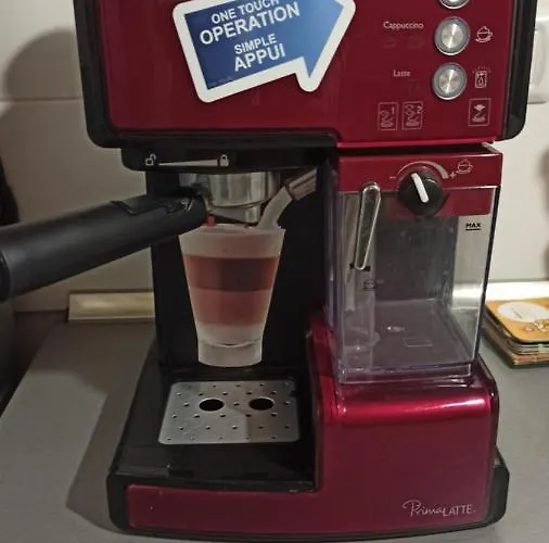 Apartmán Cozy Bujorilor Temešvár