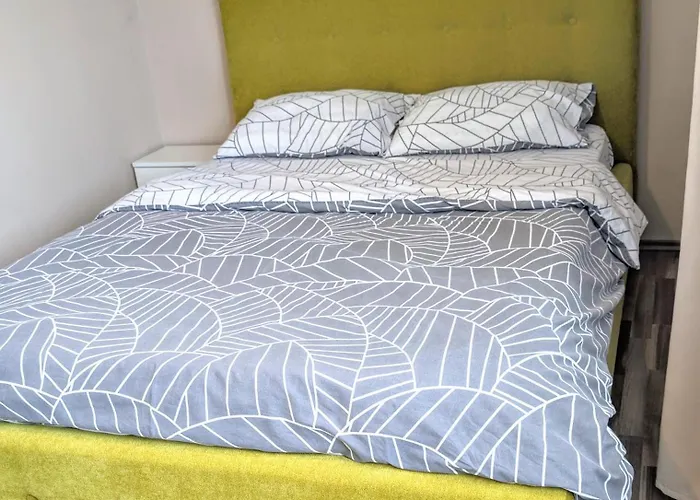 Cozy Bujorilor Apartmán